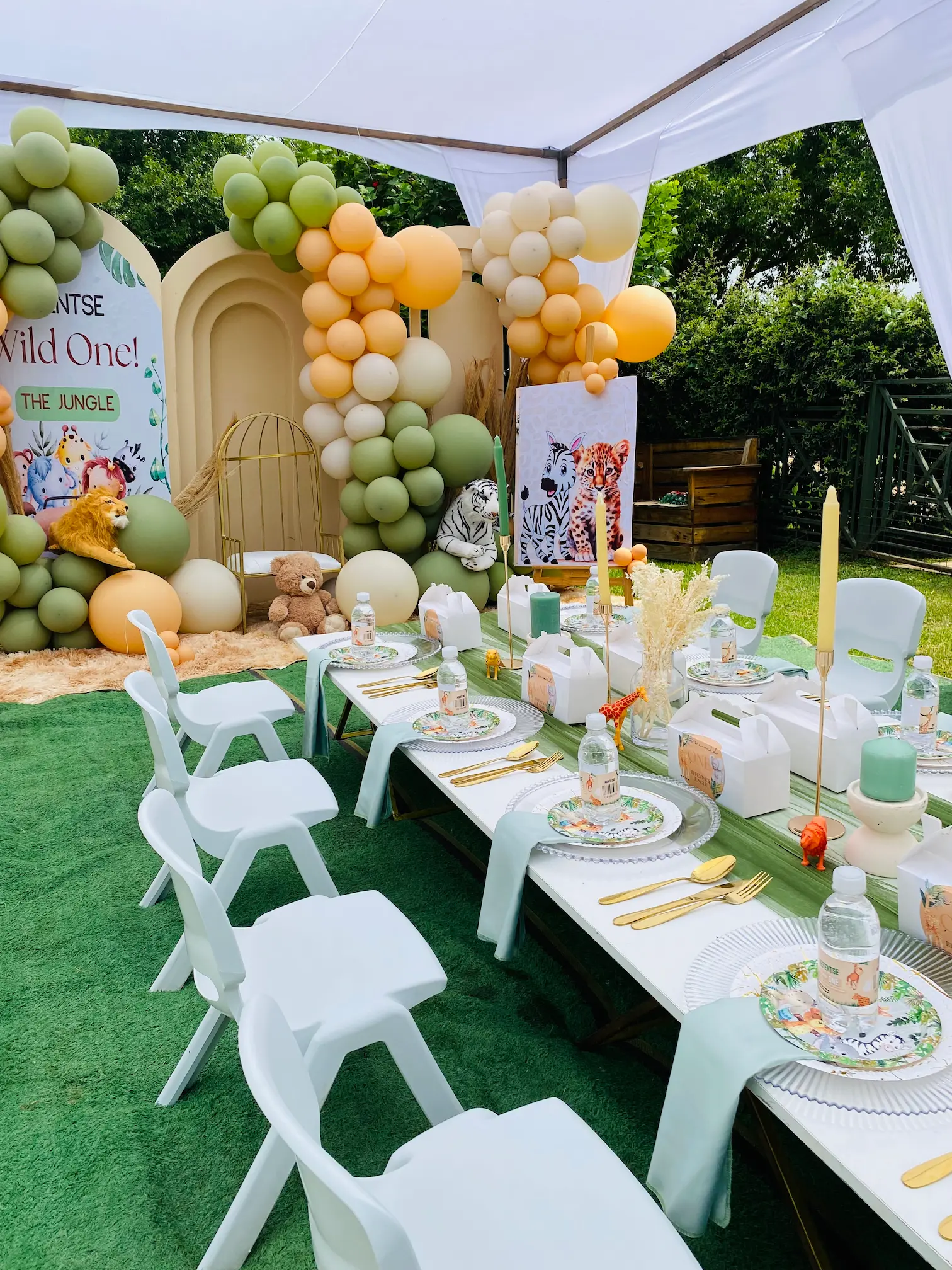 Magic Plum Kid's Birthday Party Decor Services